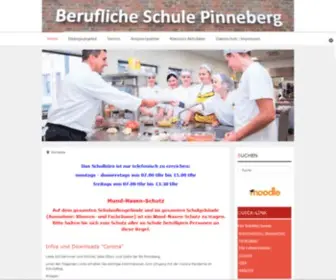 BS-Pinneberg.de(BsPI) Screenshot