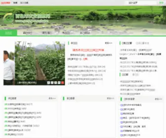 Bsagr.gov.cn(百色市农业信息网) Screenshot