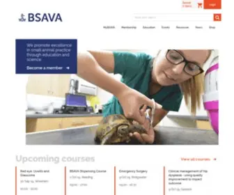 Bsava.com(Page Redirection) Screenshot