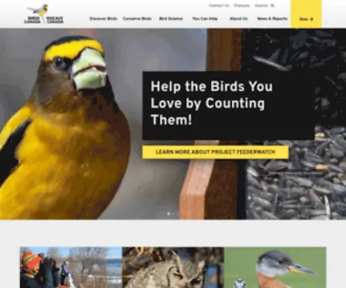 BSC-Eoc.org(Birds Canada) Screenshot