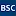 Bsci.com Logo