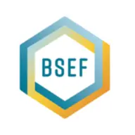 Bsef.com Logo
