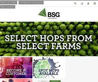 BSGcraftbrewing.com(Bulk Brewing & Beer Supply Company) Screenshot