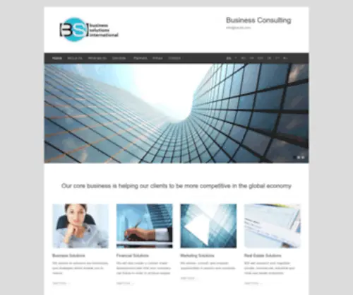Bsi-LTD.com(Our core business) Screenshot
