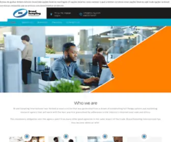 Bsi-NG.com(Brand Sampling International) Screenshot