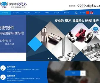 BSKFP.com(深圳市比斯克投资发展有限公司) Screenshot