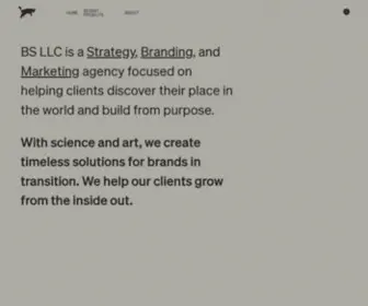 BSLLC.biz(BS LLC) Screenshot