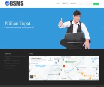 BSMS-Maids.com(BSMS Maids) Screenshot