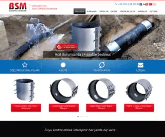 BSmsu.com.tr(BSM Su Kontrol Sistemleri) Screenshot