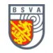 BSV-Andelfingen.ch Logo