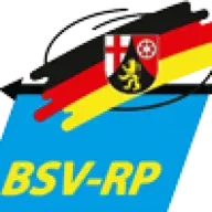 BSV-RP.de Favicon