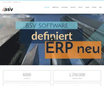 BSV.net(Rechnung) Screenshot