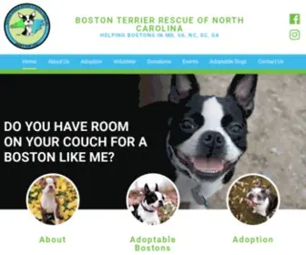 BTRNC.org(Boston Terrier Rescue) Screenshot