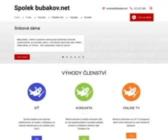 Bubakov.net(Spolek) Screenshot