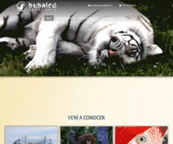 Bubalco.com(Bubalcó) Screenshot