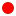 Buceriuskunstforum.de Favicon