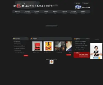 Buchao.cn(上海步超光电科技有限公司) Screenshot