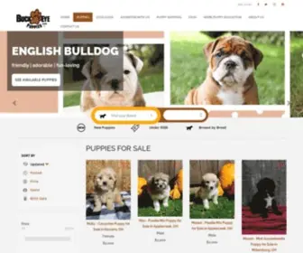 Buckeyepuppies.com(Puppies For Sale) Screenshot