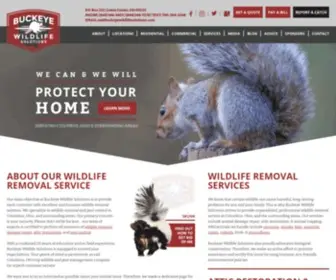 Buckeyewildlifesolutions.com(Columbus Wildlife Removal) Screenshot