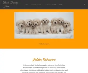 Buckfamilyfarm.com(Golden Retriever Puppies) Screenshot