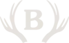 Buckhornsteakhouse.com Favicon