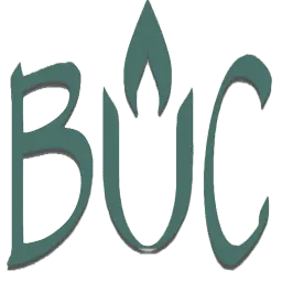 Bucmi.org Favicon