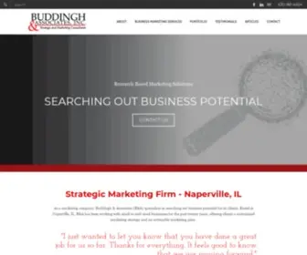 Buddinghassociates.com(Buddingh & Associates) Screenshot