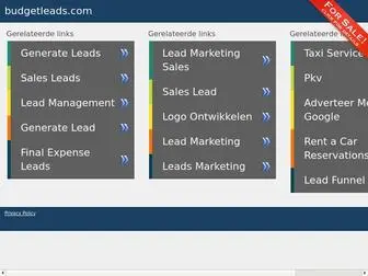 Budgetleads.com(budgetleads) Screenshot