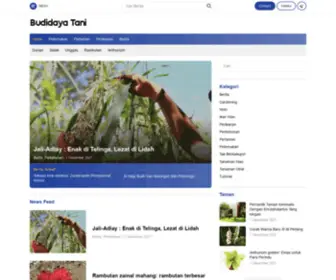 Budidayatani.com(Budidaya Tani) Screenshot