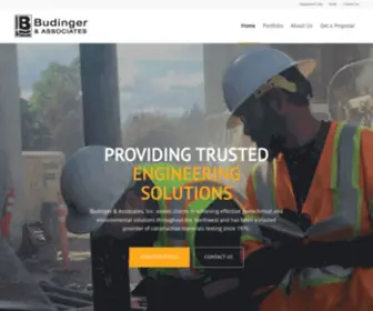 Budingerinc.com(Budinger & Associates) Screenshot