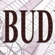 Budnews.pl Logo