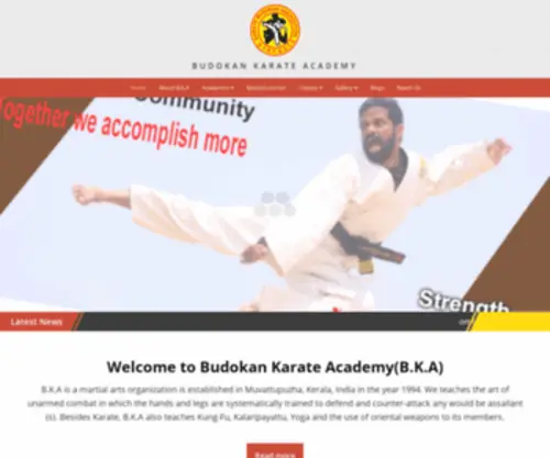 Budokankarateacademy.com(Budokan karate) Screenshot