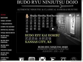 Budoryuninjutsu.com(Anshu Christa Jacobson) Screenshot