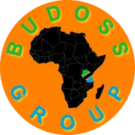 Budossgroup.com Favicon