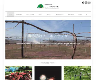 Budouyasan.com(山梨県甲州市勝沼町で自家栽培) Screenshot