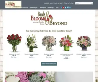 Budsbloomsandbeyond.com(Tampa Florist) Screenshot