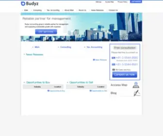 Budyz.com(M&A) Screenshot