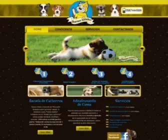 Buenoshabitos.com.ec(Adiestramiento Canino Cachorros Quito a Adiestrador a Domicilio) Screenshot