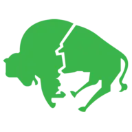 Buffaloairexpress.com Favicon