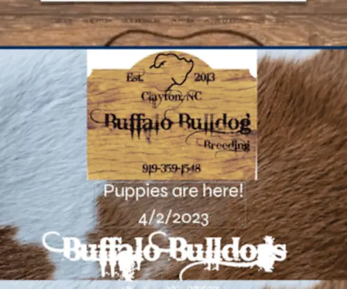 Buffalobulldog.com(Buffalo Bulldogs) Screenshot