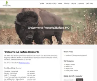 Buffalococ.com(Buffalo Chamber of Commerce Information Site) Screenshot