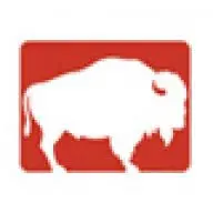 Buffalodesigngroup.com Logo