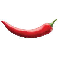 Bugas.lt Favicon