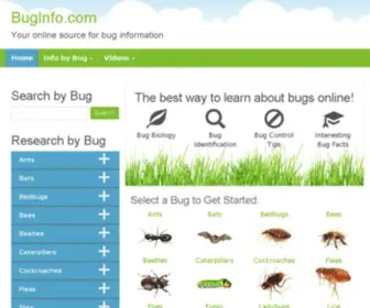 Buginfo.com(Buginfo) Screenshot