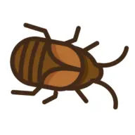 Bugmadness.com Favicon