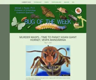 Bugoftheweek.com(Bug of the Week) Screenshot