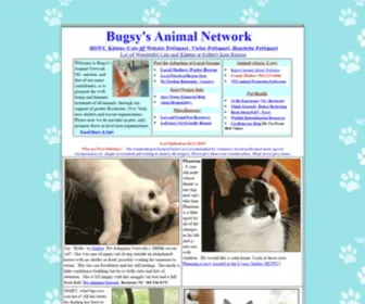 Bugsysanimalnetwork.com(Bugsy's Animal Network) Screenshot