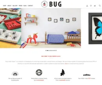 Bugunderglass.com(Real framed butterflies) Screenshot