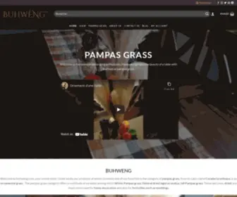 Buhweng.com(Home) Screenshot