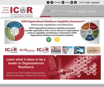 Build-Resilience.org(ICOR) Screenshot